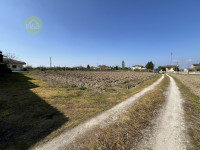 casa singola in vendita Boschi Sant'Anna foto 008__img_8500_wmk_0.jpg