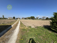 casa singola in vendita Boschi Sant'Anna foto 009__img_8503_wmk_0.jpg