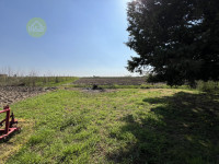 casa singola in vendita Boschi Sant'Anna foto 010__img_8515_2_wmk_0.jpg