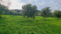 villa in vendita Pace del Mela foto 020__download__28.jpg