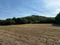 rustico in vendita Arquà Petrarca foto 005__img-20250529-wa0019.jpg