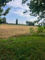 bifamiliare in vendita Solesino foto 001__img-20250617-wa0019.jpg