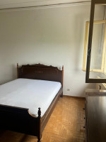 bifamiliare in vendita Solesino foto 006__img-20250623-wa0037.jpg