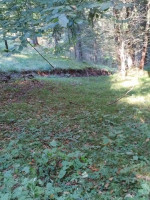 rustic for sale Domegge di Cadore foto 999__whatsapp_image_2025-09-18_at_15_48_44_3.jpg