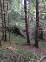 rustic for sale Domegge di Cadore foto 999__whatsapp_image_2025-09-18_at_15_48_45_2.jpg