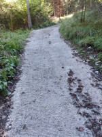 rustic for sale Domegge di Cadore foto 999__whatsapp_image_2025-09-18_at_15_48_47.jpg