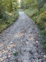 rustic for sale Domegge di Cadore foto 999__whatsapp_image_2025-09-18_at_15_48_47_2.jpg