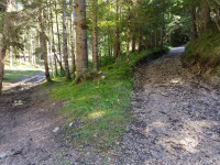 rustic for sale Domegge di Cadore foto 999__whatsapp_image_2025-09-18_at_15_48_47_3.jpg