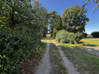 villa in vendita Salara foto 006__img_3430.jpg