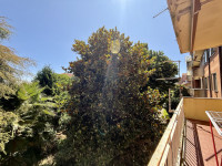 appartamento in vendita Legnago foto 007__img_6626.jpg