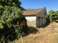 casa singola in vendita Canda foto 004__img_3999_wmk_0.jpg