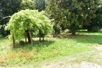 casa a schiera in vendita Maserà di Padova foto 005__dsc_1318.jpg