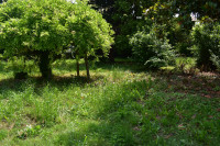 casa a schiera in vendita Maserà di Padova foto 007__dsc_1320.jpg
