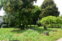 casa a schiera in vendita Maserà di Padova foto 008__dsc_1327.jpg