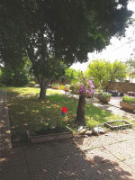 villa in vendita Satriano foto 003__whatsapp_image_2025-07-15_at_16_16_54__3.jpg