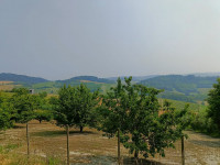 land for sale Treville foto 999__whatsapp_image_2025-07-25_at_17_17_09.jpg