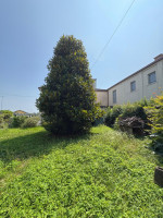 appartamento in vendita Villafranca Padovana foto 003__whatsapp_image_2025-07-30_at_19_11_45__1.jpg