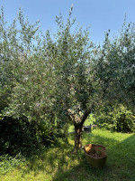 appartamento in vendita Villafranca Padovana foto 014__whatsapp_image_2025-07-30_at_19_11_46__2.jpg