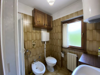 appartamento in vendita Auronzo di Cadore foto 006__bagno.jpg