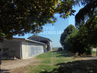 bifamiliare in vendita Riva del Po foto 017__dsc00472_wmk_0.jpg