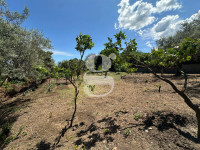 casa singola in vendita San Filippo del Mela foto 001__whatsapp_image_2025-07-29_at_12_02_17_wmk_0.jpg