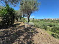 casa singola in vendita San Filippo del Mela foto 002__whatsapp_image_2025-07-29_at_12_02_18_wmk_0.jpg
