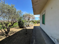 casa singola in vendita San Filippo del Mela foto 005__whatsapp_image_2025-07-29_at_12_02_18__4_wmk_0.jpg