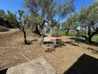 casa singola in vendita San Filippo del Mela foto 006__whatsapp_image_2025-07-29_at_12_02_18__5_wmk_0.jpg