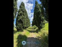 rustico in vendita Serravalle Pistoiese foto 999__foto_7.jpg