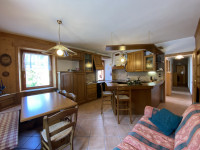 apartment for sale Auronzo di Cadore foto 002__img_0472.jpg