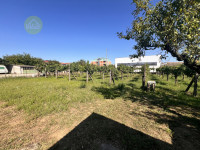 casa a schiera in vendita Cerea foto 011__img_1503_wmk_0.jpg