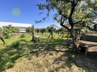 casa a schiera in vendita Cerea foto 013__img_1504_wmk_0.jpg