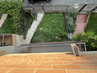 quadrifamiliare in vendita Due Carrare foto 011__img_6231.jpg