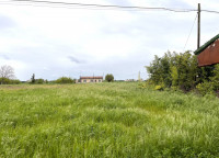 casa a schiera in vendita Rovigo foto 006__terreno.jpg
