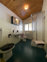 duplex for sale Auronzo di Cadore foto 008__bagno_doccia.jpg