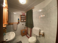 appartamento in vendita Auronzo di Cadore foto 008__bagno_di_servizio.jpg
