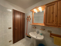 appartamento in vendita Auronzo di Cadore foto 009__bagno_servizio.jpg