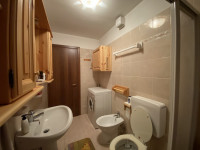 appartamento in vendita Auronzo di Cadore foto 014__bagno.jpg