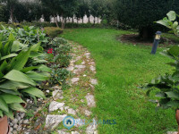casa singola in vendita Vigodarzere foto 002__foto_3.jpg