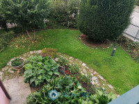 casa singola in vendita Vigodarzere foto 006__foto_7.jpg