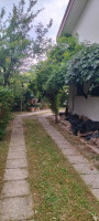 villa in vendita Padova foto 004__dietro.jpg
