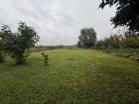 casa a schiera in vendita Bagnolo di Po foto 056__img_5719.jpg