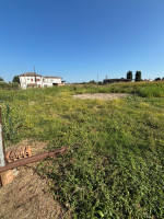 bifamiliare in vendita Bagnolo di Po foto 010__whatsapp_image_2025-09-16_at_10_04_15__6.jpg