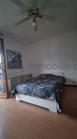 appartamento in affitto Padova foto 999__1000006802_wmk_0.jpg