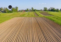 terreno in vendita Campolongo Maggiore foto 999__terreno_agricolo_wmk_0.jpg