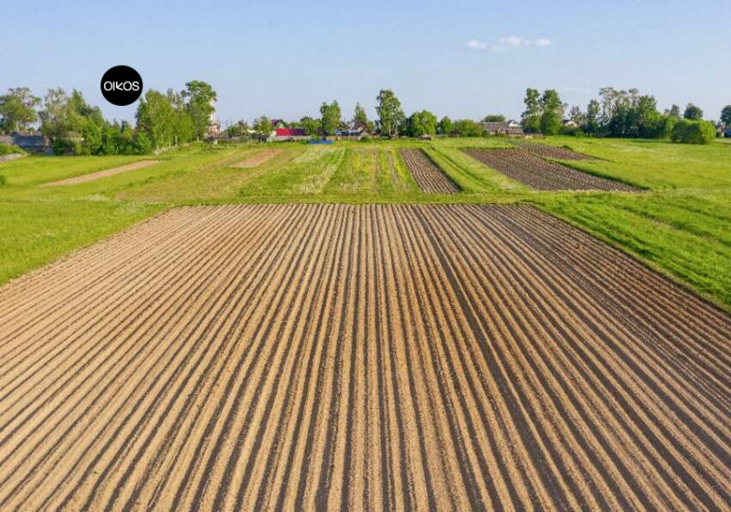 foto principale annuncio