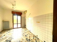 appartamento in affitto San Felice sul Panaro foto 001__cucinainallestimento.jpg