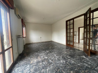 appartamento in affitto San Felice sul Panaro foto 004__fhjt4412.jpg