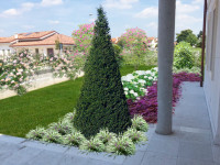 trifamiliare in vendita Villanova di Camposampiero foto 001__25.jpg