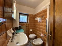 appartamento in vendita Auronzo di Cadore foto 006__bagno.jpg